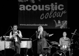 acoustic colour